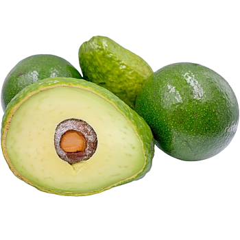 Avocado